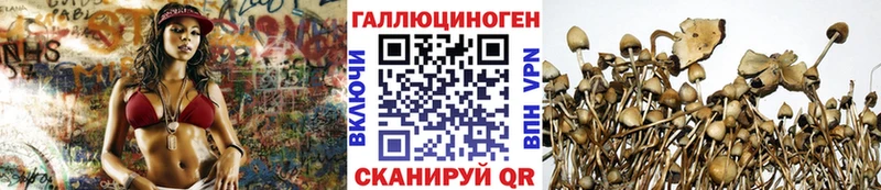 Псилоцибиновые грибы Cubensis  Новочебоксарск 