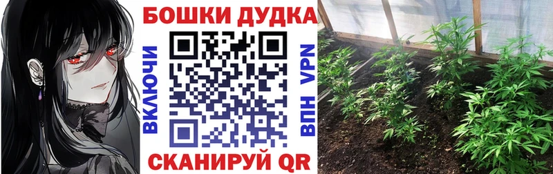 мега   Новочебоксарск  МАРИХУАНА OG Kush 
